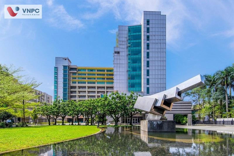KING88 là nhà cái giải trí đỉnh cao Đài Loan ngành Công nghệ thông tin